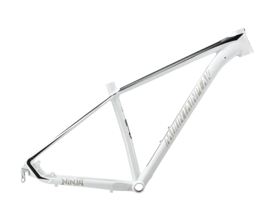 NINJA Ⅰ Aluminum Alloy Frame
